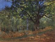 Claude Monet, The Bodmer Oak,Forest of Fontainebleau